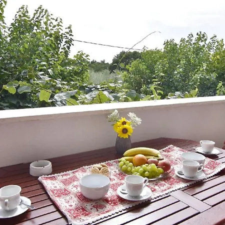 Grosse In Babici Mit Garten Und Terrasse Apartment